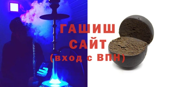 индика Вяземский